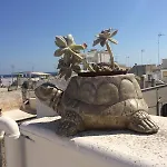 Respiro Del Mare 3*
