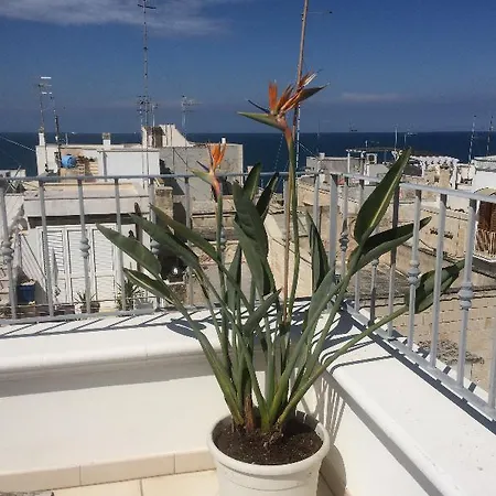 Respiro Del Mare לינה וארוחת בוקר